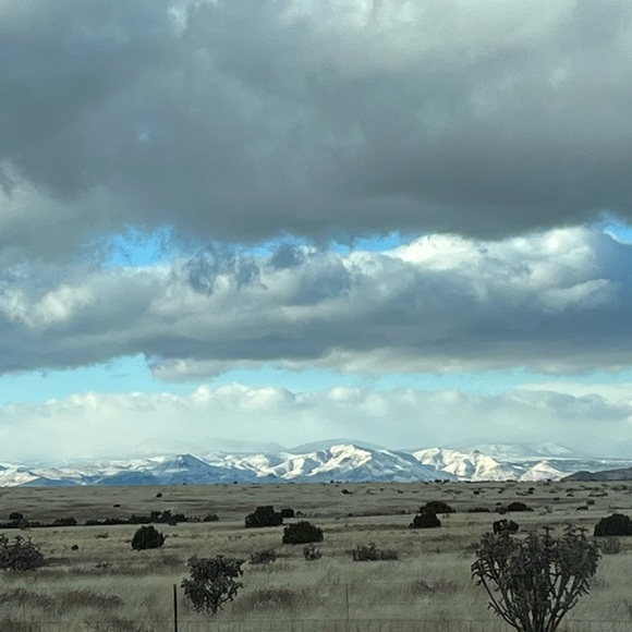 Meet your Posher, Marian - Picture 8 of 8